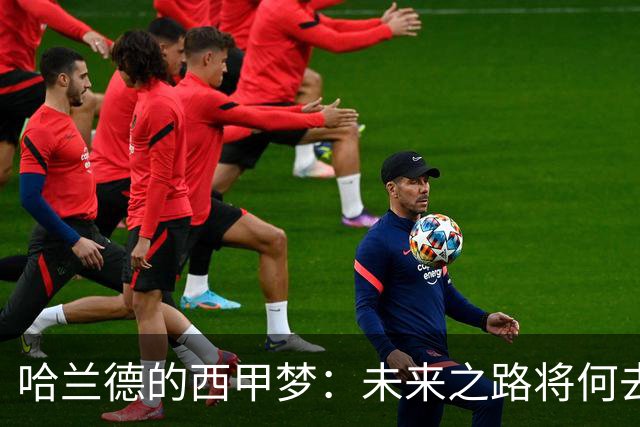 哈兰德的西甲梦：未来之路将何去何从？